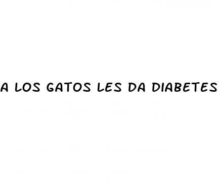 a los gatos les da diabetes
