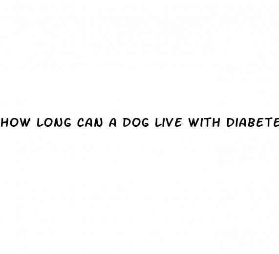 how long can a dog live with diabetes with insulin