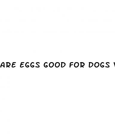 are eggs good for dogs with diabetes
