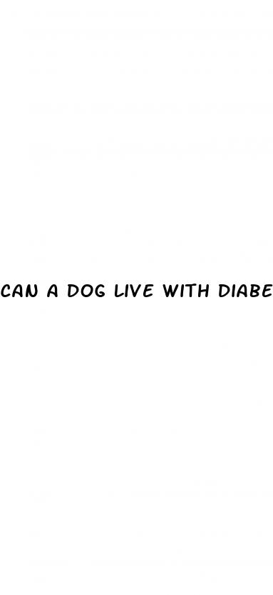 can a dog live with diabetes