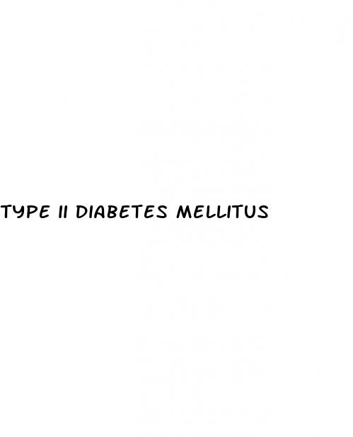 type ii diabetes mellitus