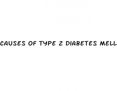 causes of type 2 diabetes mellitus