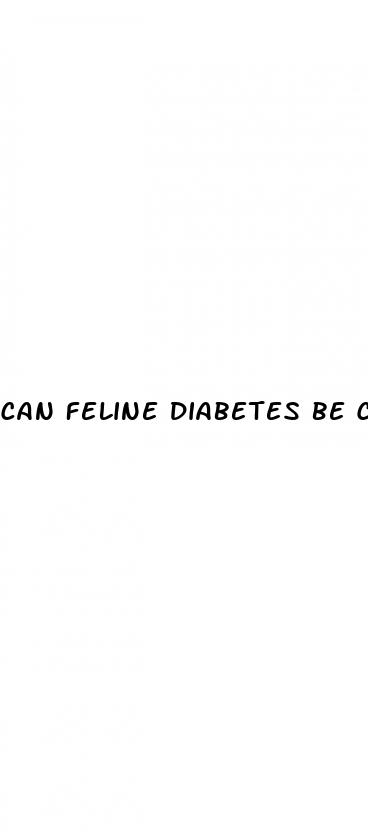 can feline diabetes be controlled by diet