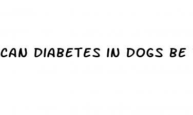 can diabetes in dogs be reversed