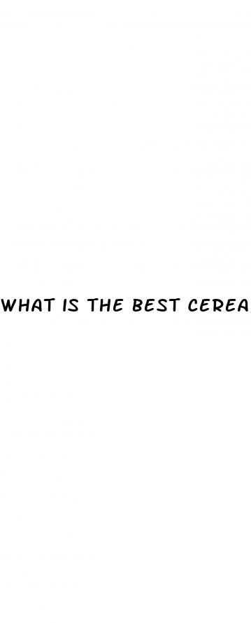 what is the best cereal for diabetes
