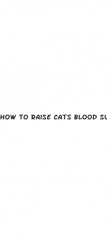 how to raise cats blood sugar