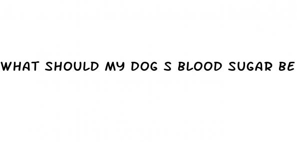 what should my dog s blood sugar be