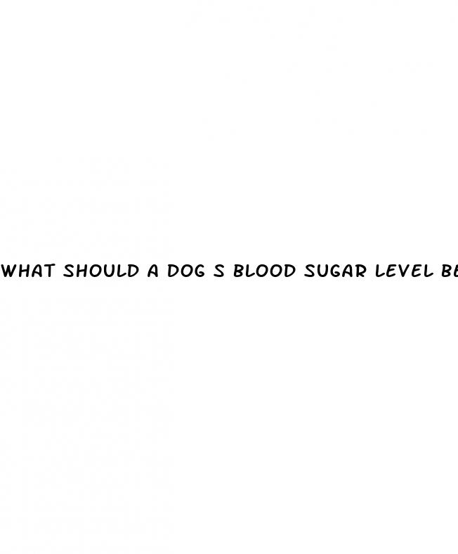 what should a dog s blood sugar level be