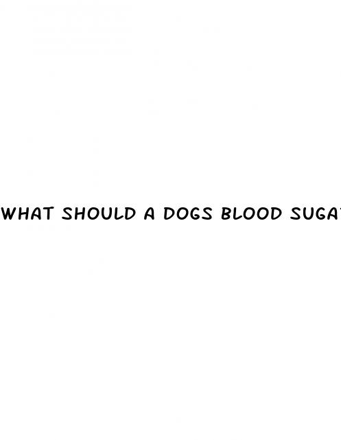 what should a dogs blood sugar be