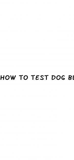 how to test dog blood sugar