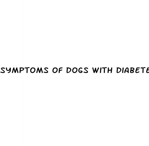 symptoms of dogs with diabetes