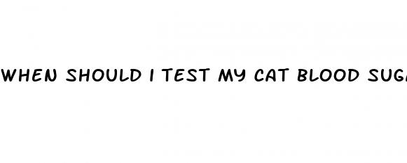 when should i test my cat blood sugar