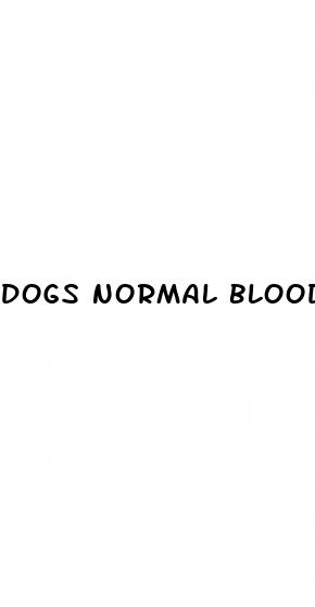 dogs normal blood sugar level