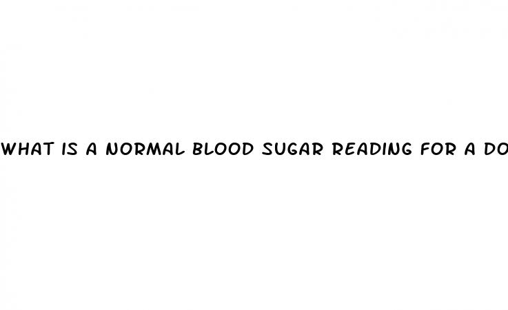 what is a normal blood sugar reading for a dog