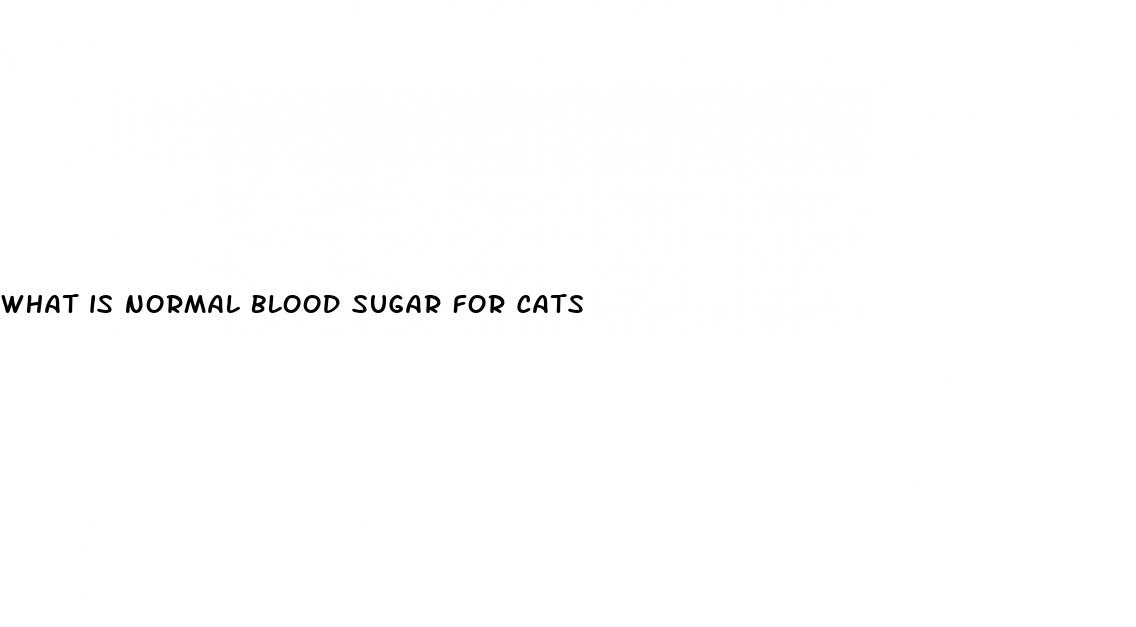 what is normal blood sugar for cats