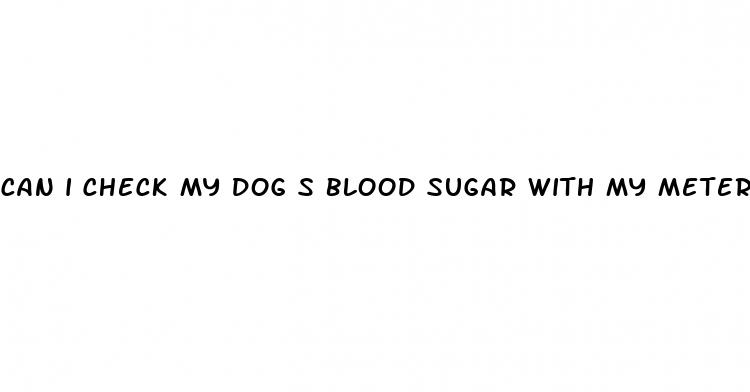 can i check my dog s blood sugar with my meter