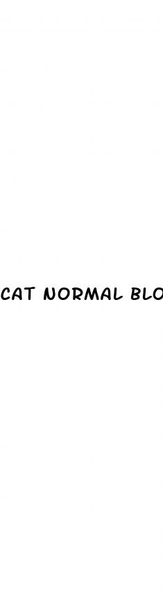 cat normal blood sugar