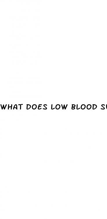 what does low blood sugar levels mean