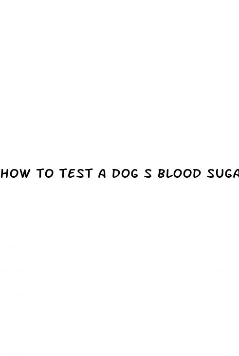 how to test a dog s blood sugar level