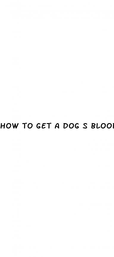 how to get a dog s blood sugar up