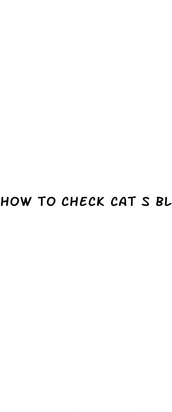 how to check cat s blood sugar at home