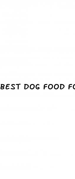 best dog food for low blood sugar