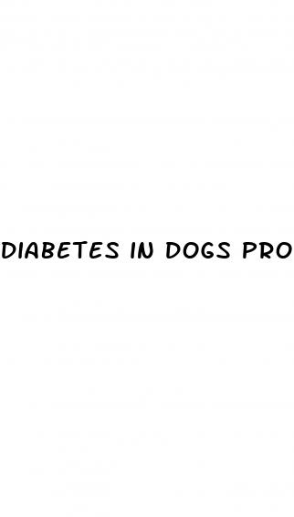 diabetes in dogs prognosis