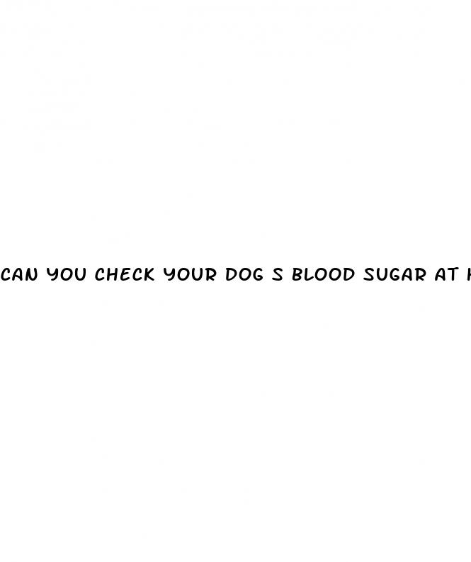 can you check your dog s blood sugar at home