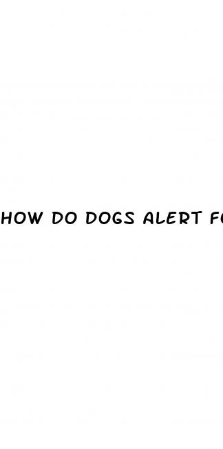 how do dogs alert for blood sugar