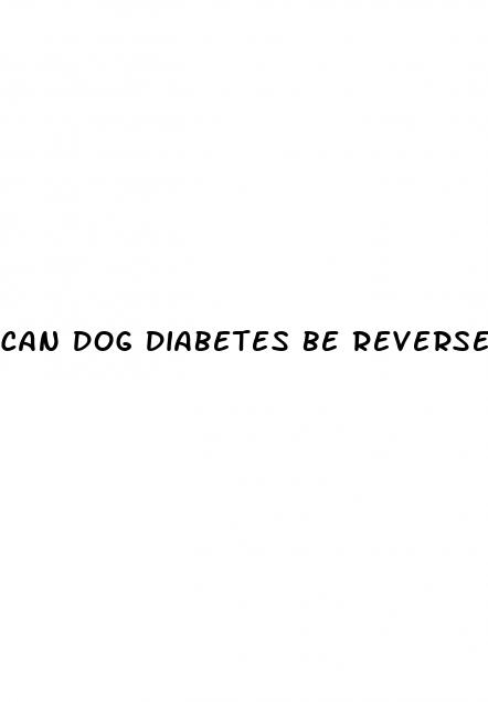can dog diabetes be reversed