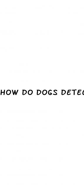 how do dogs detect high blood sugar