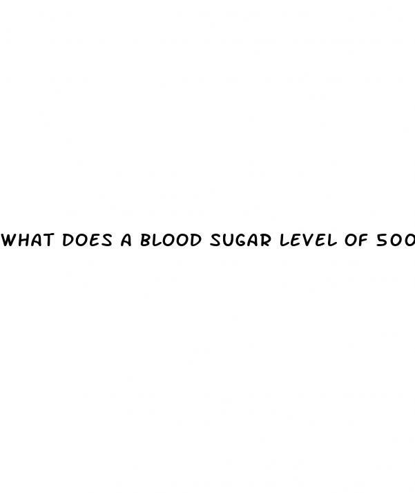 what does a blood sugar level of 500 mean