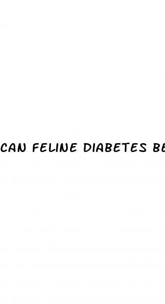 can feline diabetes be reversed