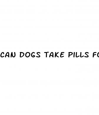 can dogs take pills for diabetes