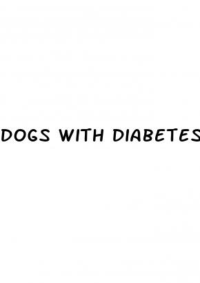dogs with diabetes treatment