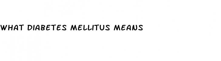 what diabetes mellitus means