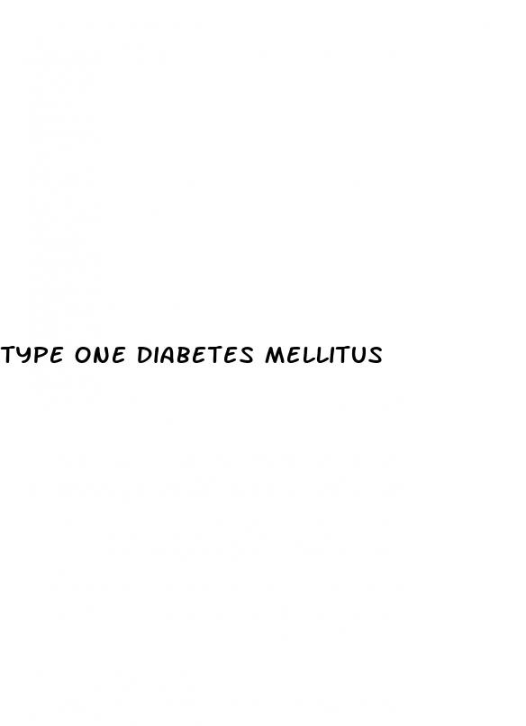 type one diabetes mellitus