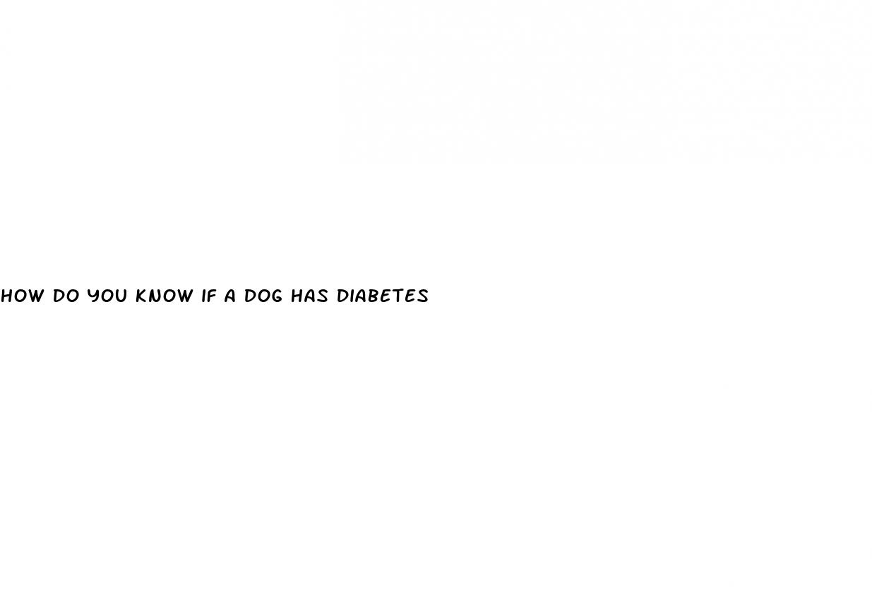 how do you know if a dog has diabetes