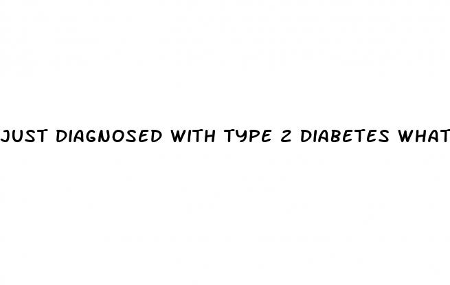 just diagnosed with type 2 diabetes what can i eat