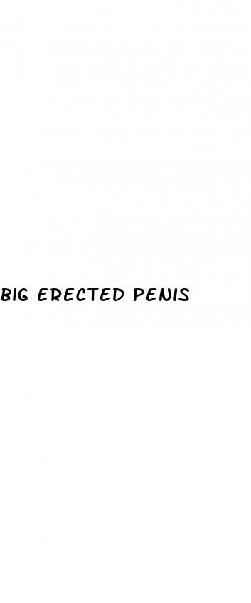 big erected penis