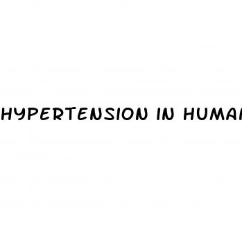 hypertension in humans