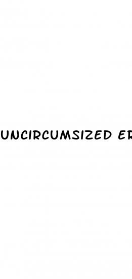 uncircumsized erect penis