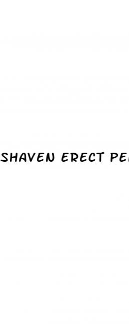 shaven erect penis