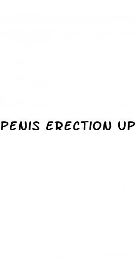 penis erection up