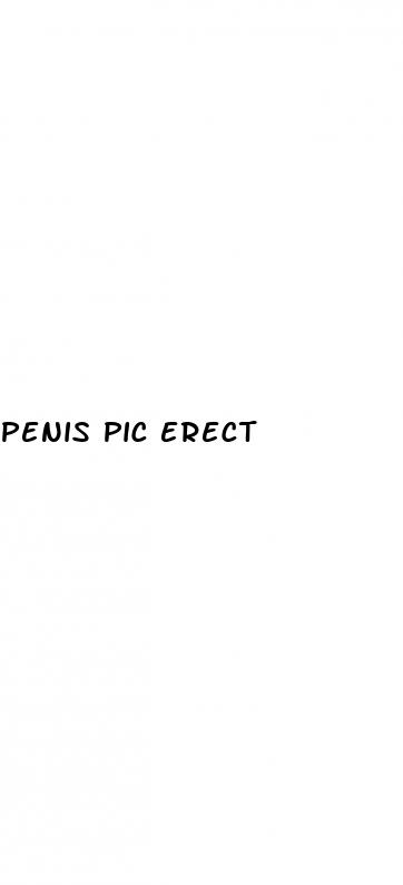 penis pic erect