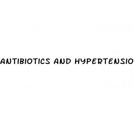 antibiotics and hypertension