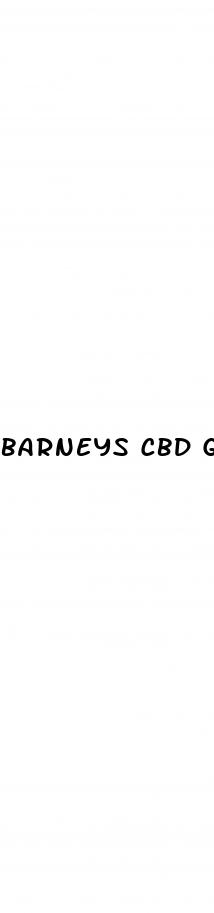 barneys cbd gummies