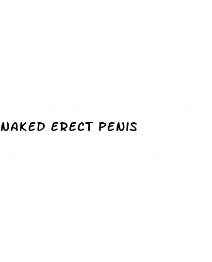 naked erect penis