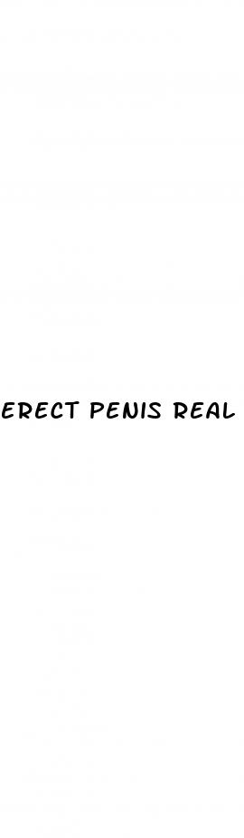 erect penis real