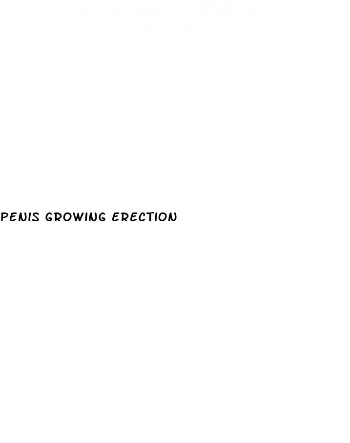 penis growing erection